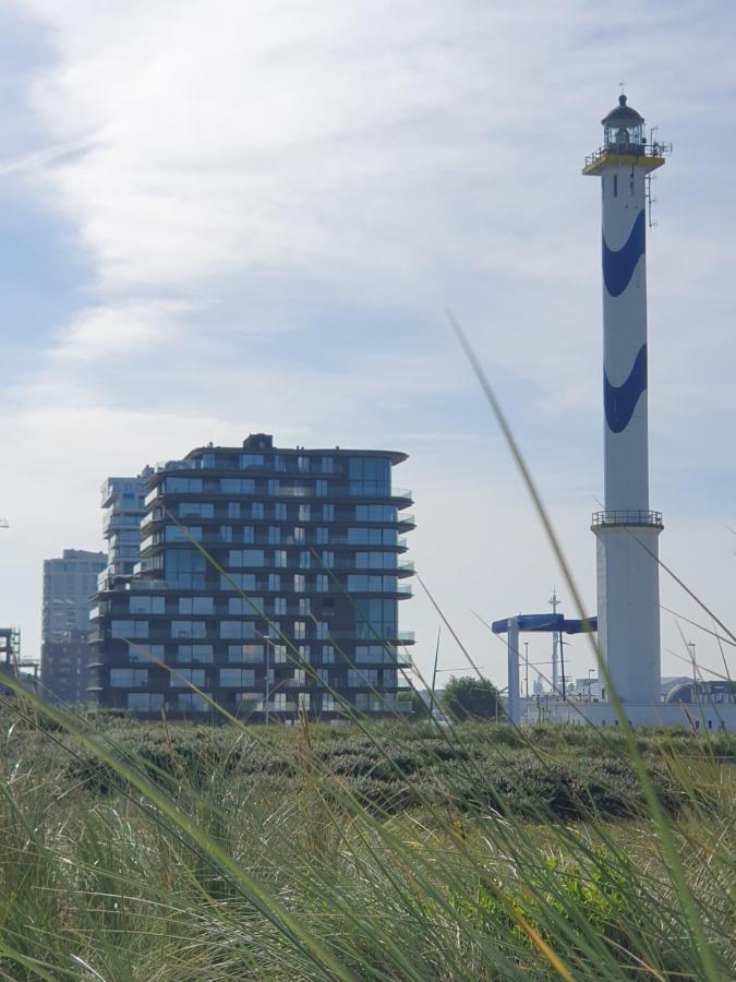 Central Park Tower Sea View Residence With Pool And Gym Ostende Exteriér fotografie